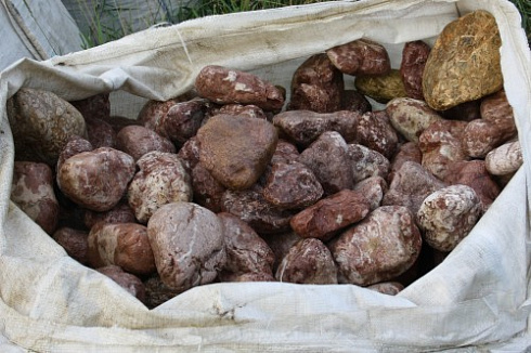 Kamenclub.ru: Розовый валунчик фр.100-300 мм.  купить в Кемерово крупный природный камень розовый, серый молочный красный речной галечник природный 7850 руб/т   фото КАМЕНЬ КЛУБ