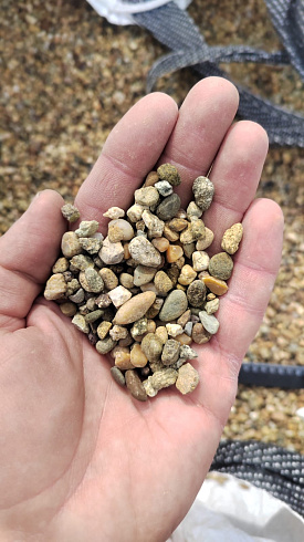 Kamenclub.ru: Галька окат (серо-желтая) фр.5-10 мм. купить  в Кемерово галька речная рыжий, желтый, рыжий, серо-желтый речная окатанная галька декоративная 5000 руб/т   фото КАМЕНЬ КЛУБ